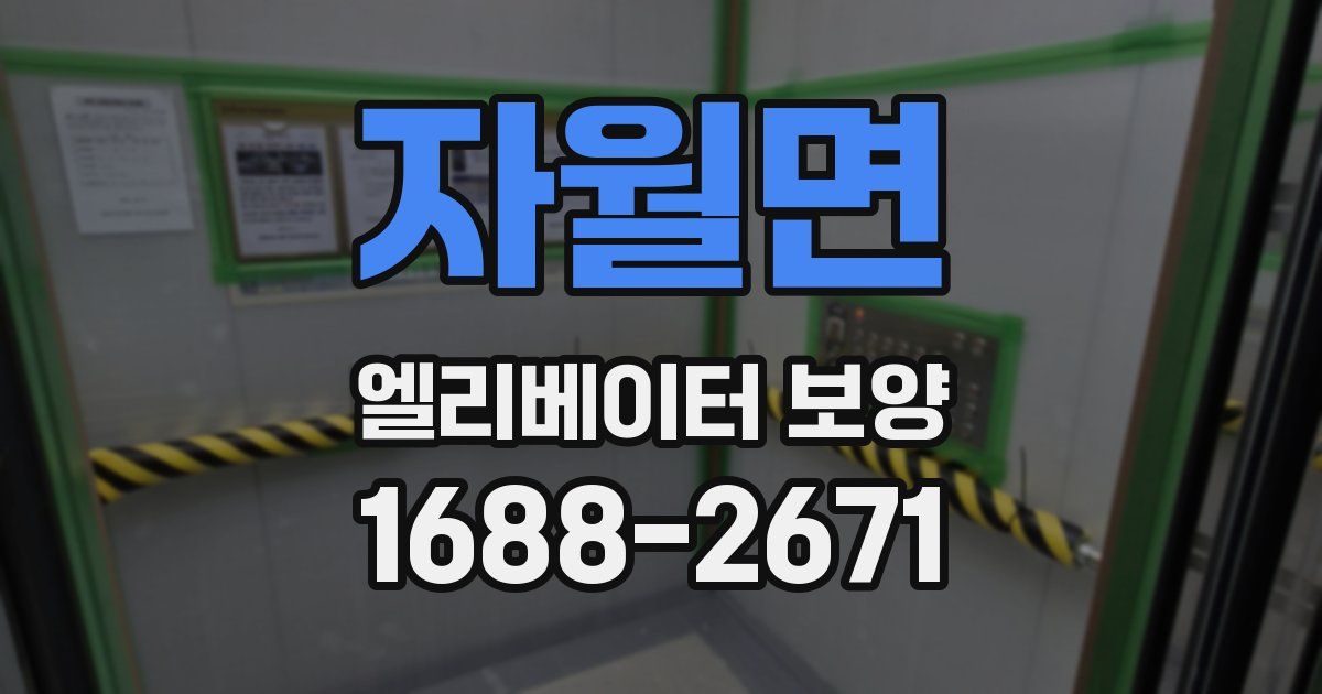 자월면 엘리베이터 보양