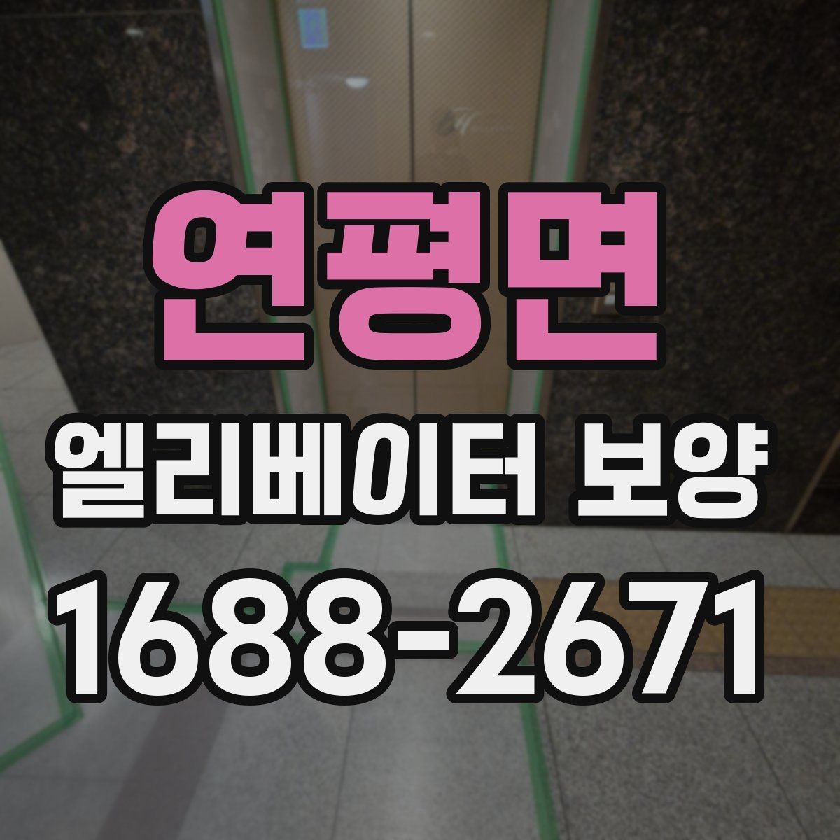연평면 엘리베이터 보양 현장 사진으로 보는 진행 방식