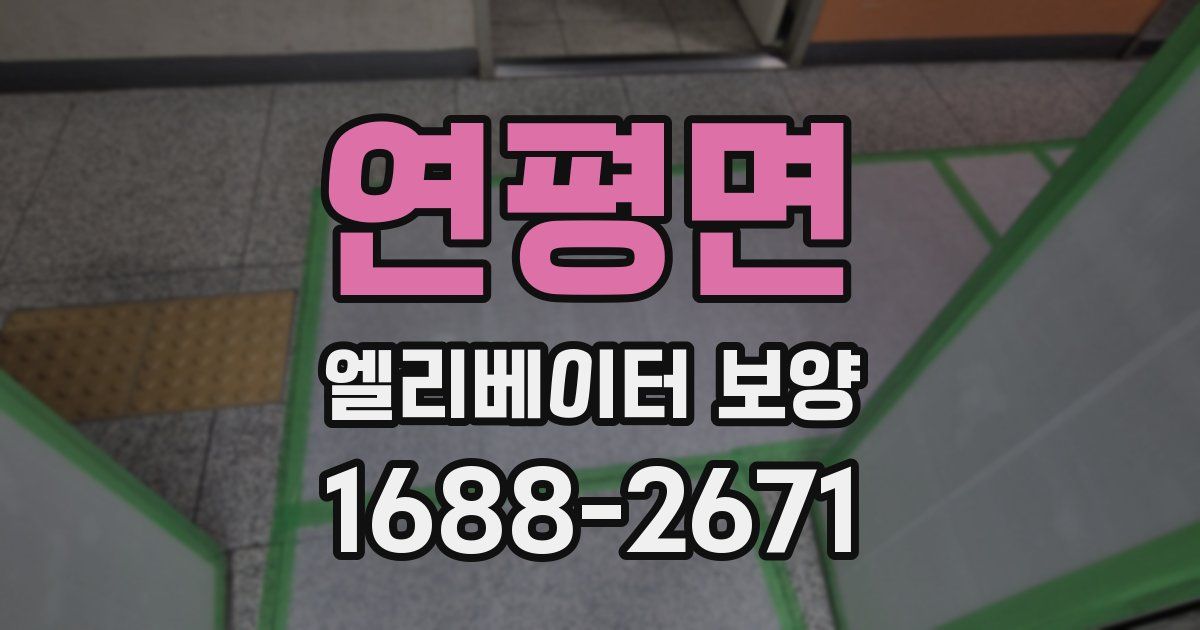 연평면 엘리베이터 보양