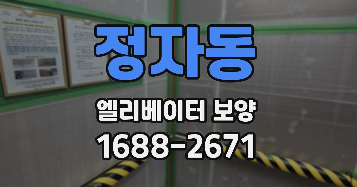 정자동 엘리베이터 보양