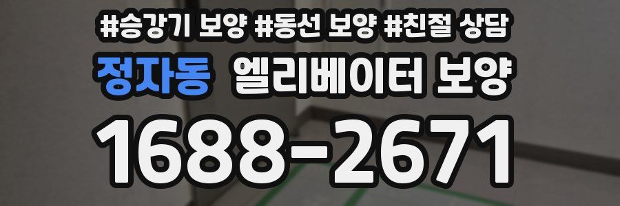정자동 엘리베이터 보양