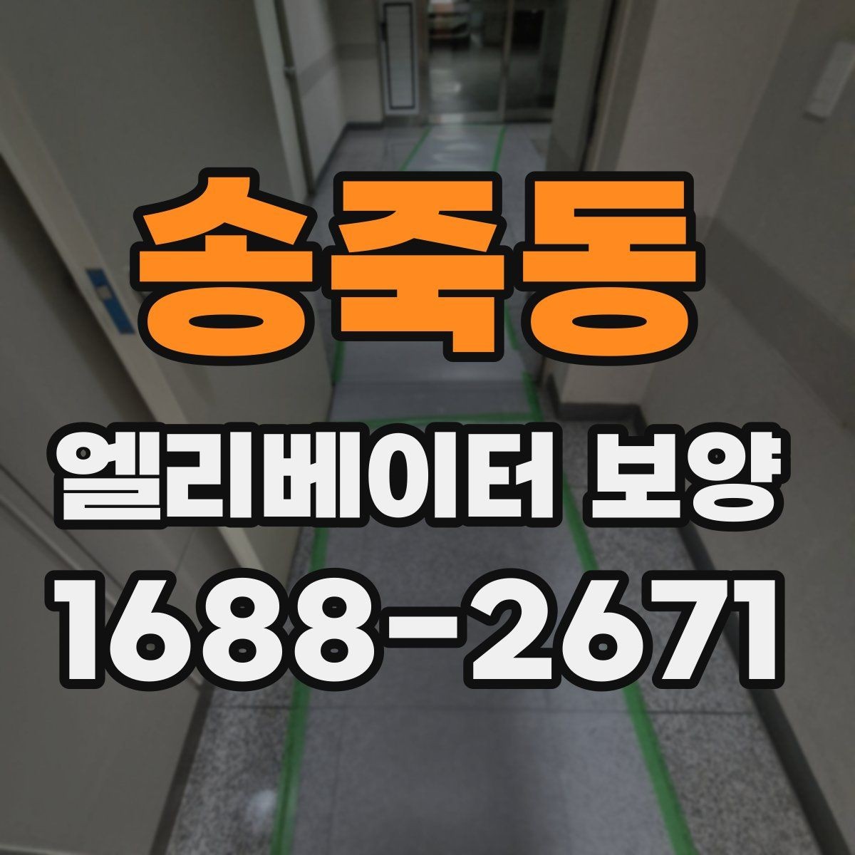 송죽동 엘리베이터 보양 적용 구역을 넓게 잡아야 할 때