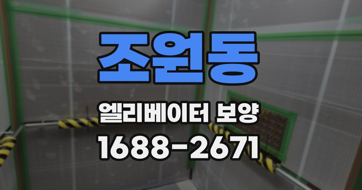 조원동 엘리베이터 보양