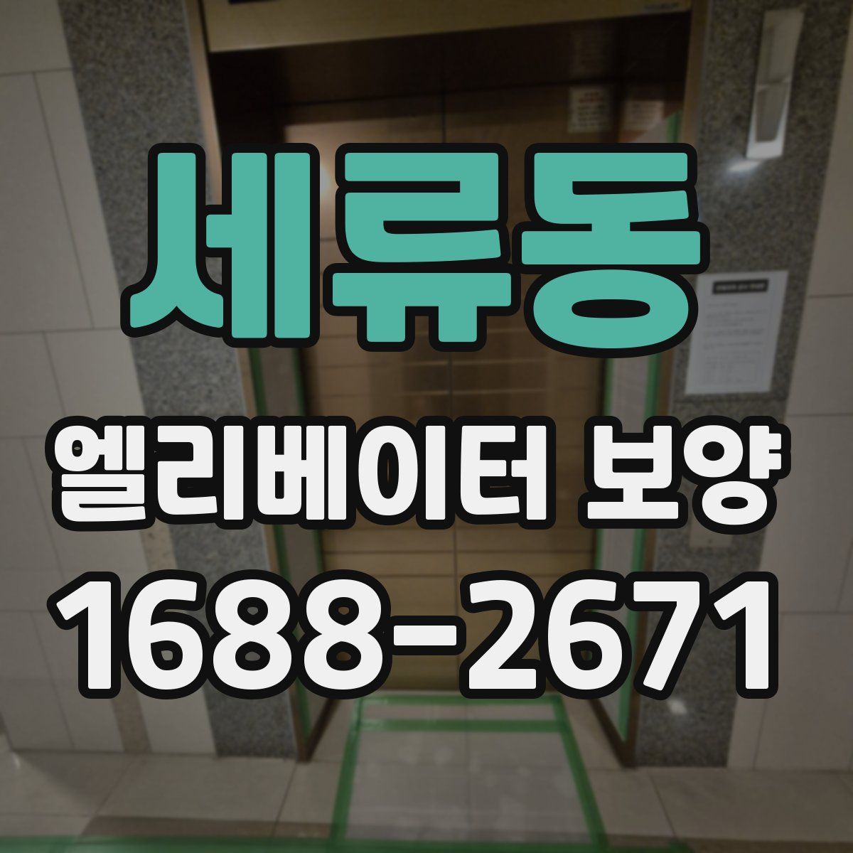 세류동 엘리베이터 보양