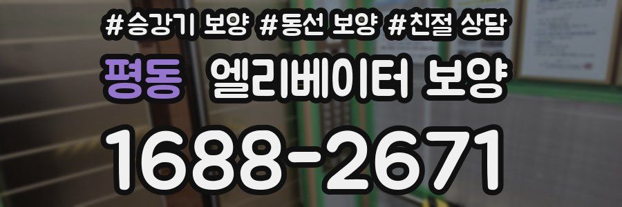 평동 엘리베이터 보양