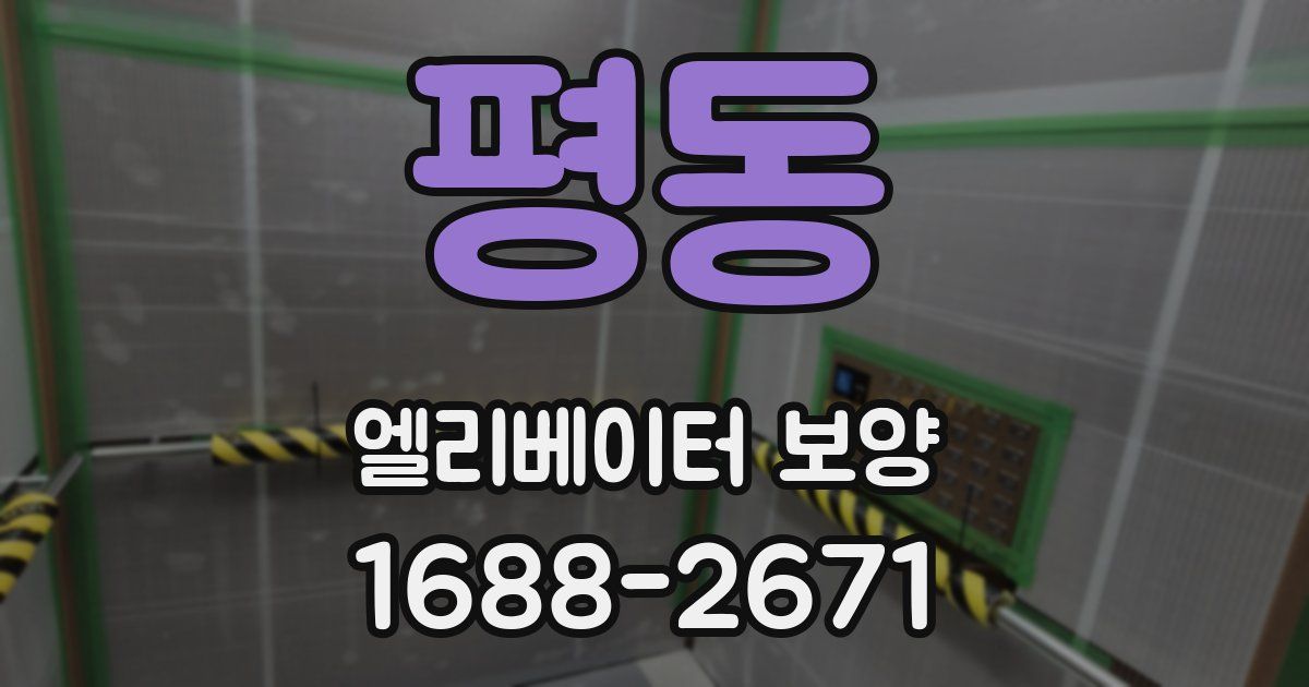 평동 엘리베이터 보양