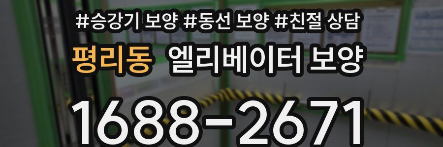 평리동 엘리베이터 보양