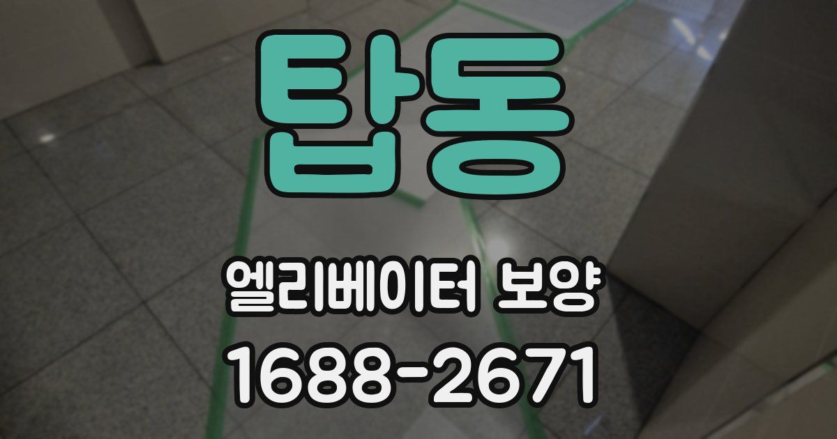 탑동 엘리베이터 보양