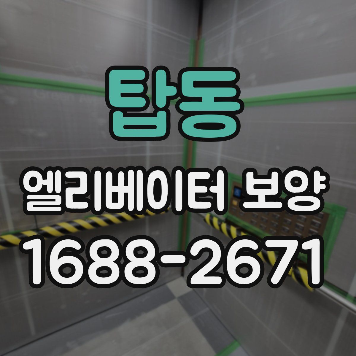 탑동 엘리베이터 보양