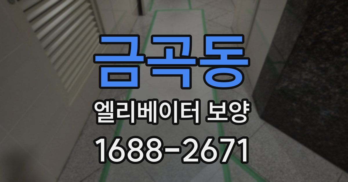 금곡동 엘리베이터 보양
