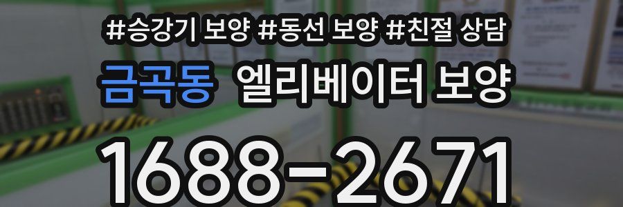 금곡동 엘리베이터 보양