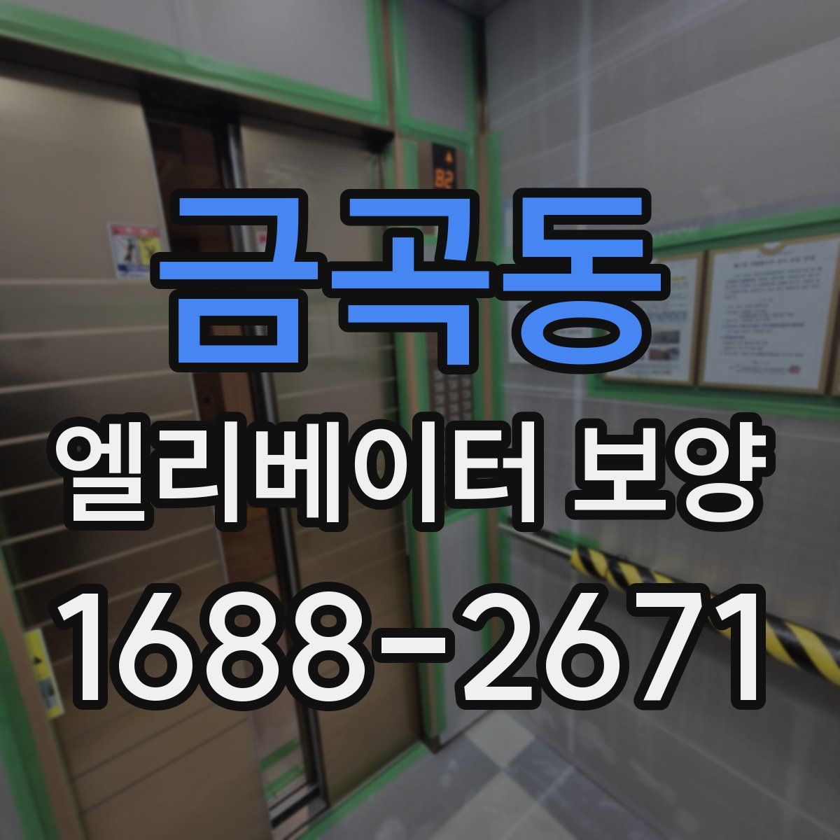 금곡동 엘리베이터 보양