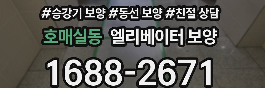 호매실동 엘리베이터 보양