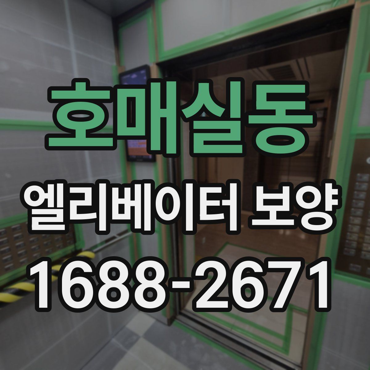 호매실동 엘리베이터 보양