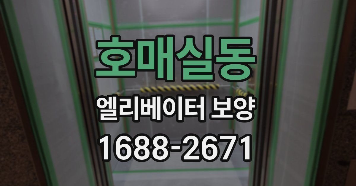 호매실동 엘리베이터 보양