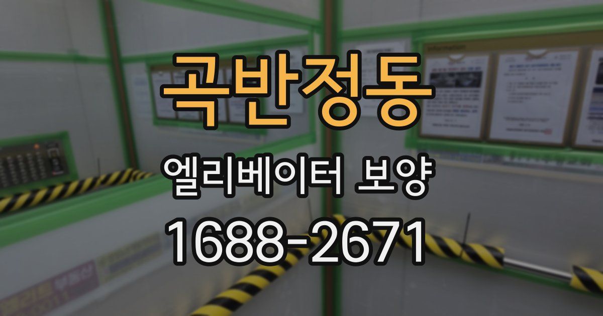 곡반정동 엘리베이터 보양