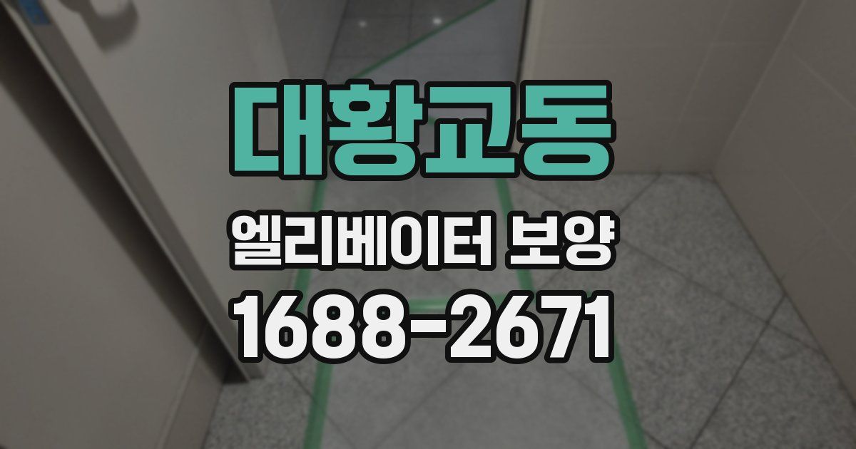 대황교동 엘리베이터 보양
