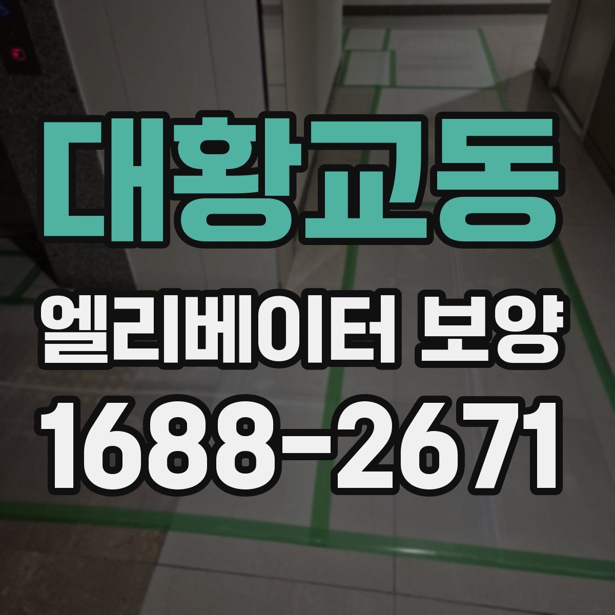 대황교동 엘리베이터 보양