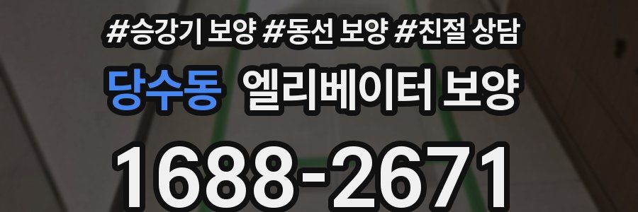 당수동 엘리베이터 보양