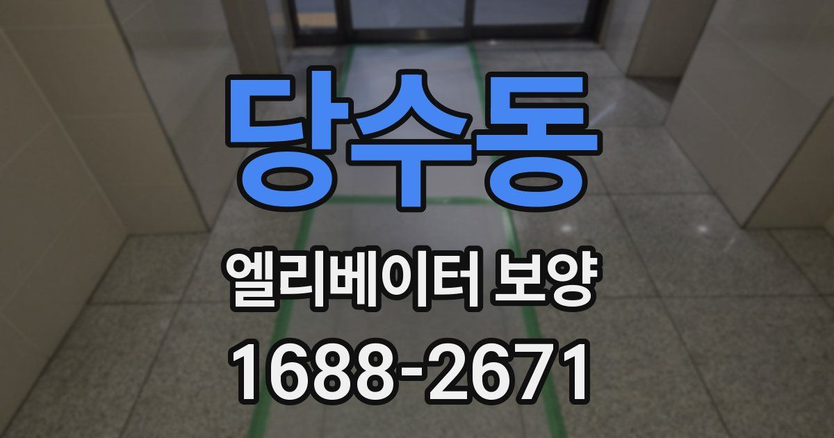 당수동 엘리베이터 보양