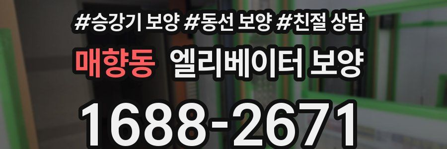 매향동 엘리베이터 보양