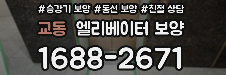 교동 엘리베이터 보양