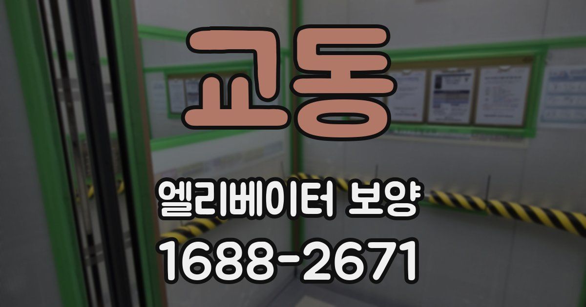 교동 엘리베이터 보양