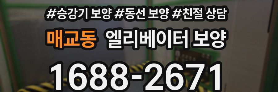 매교동 엘리베이터 보양