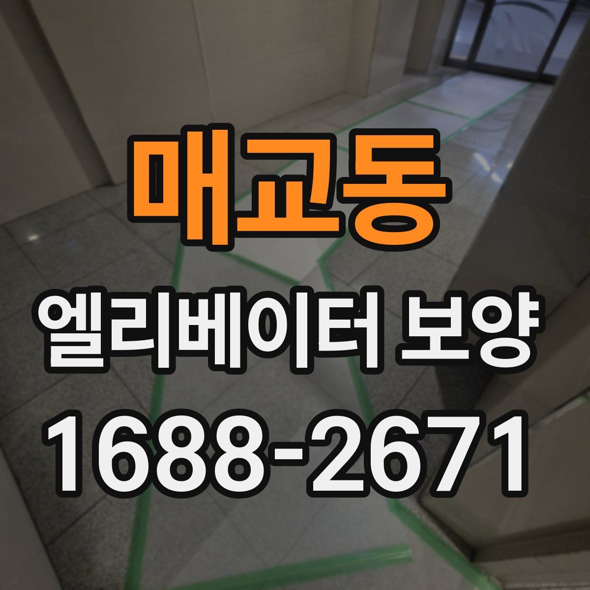 매교동 엘리베이터 보양