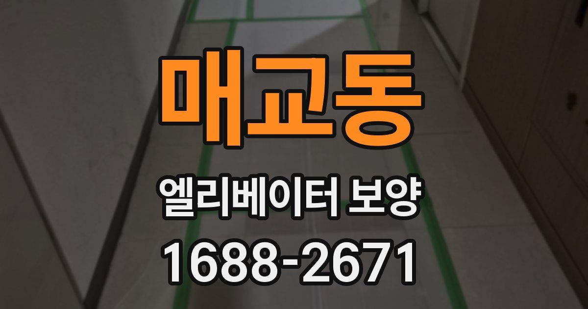 매교동 엘리베이터 보양