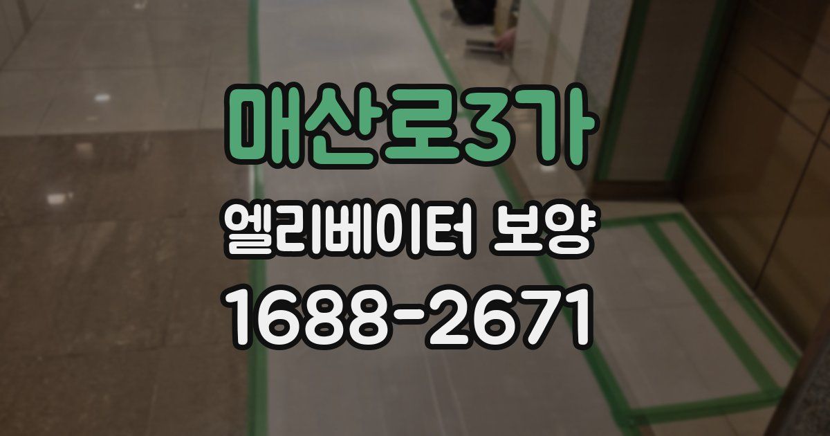 매산로3가 엘리베이터 보양