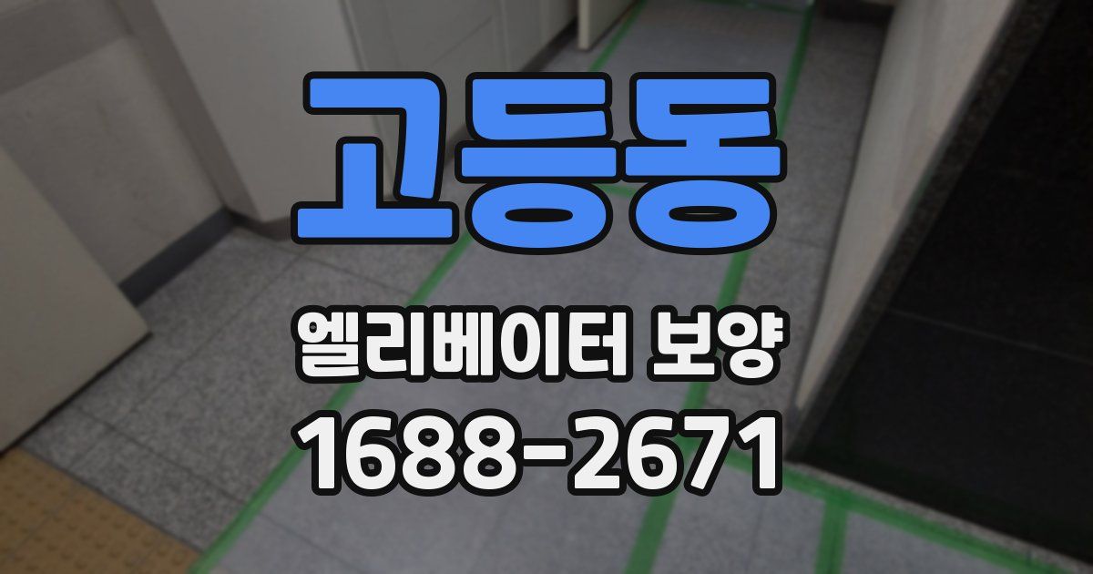 고등동 엘리베이터 보양