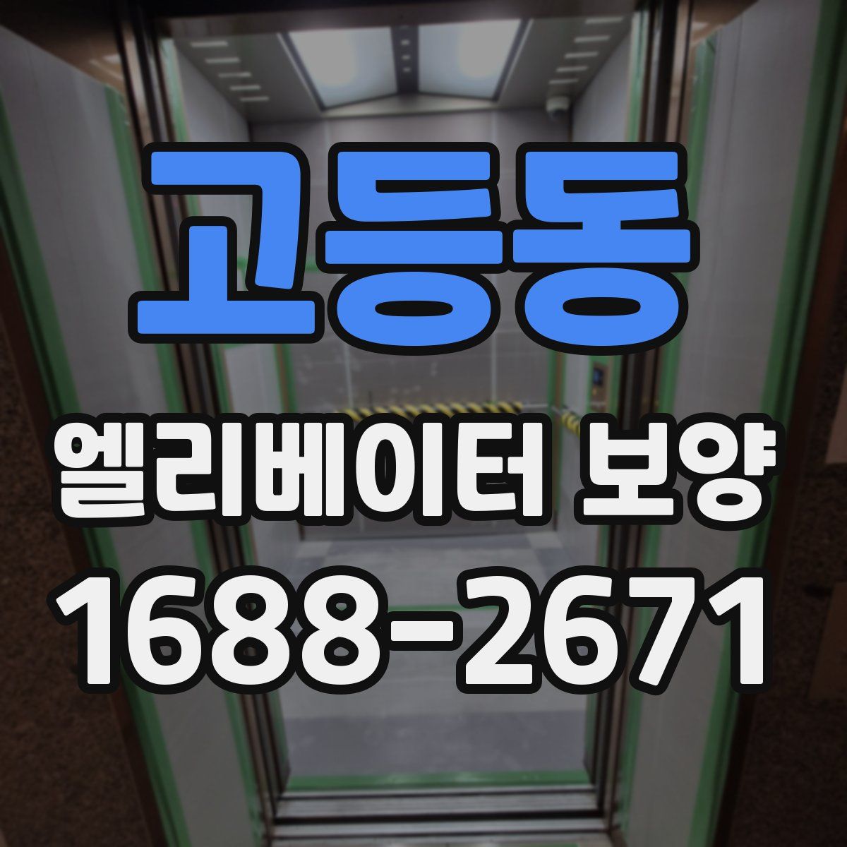 고등동 엘리베이터 보양
