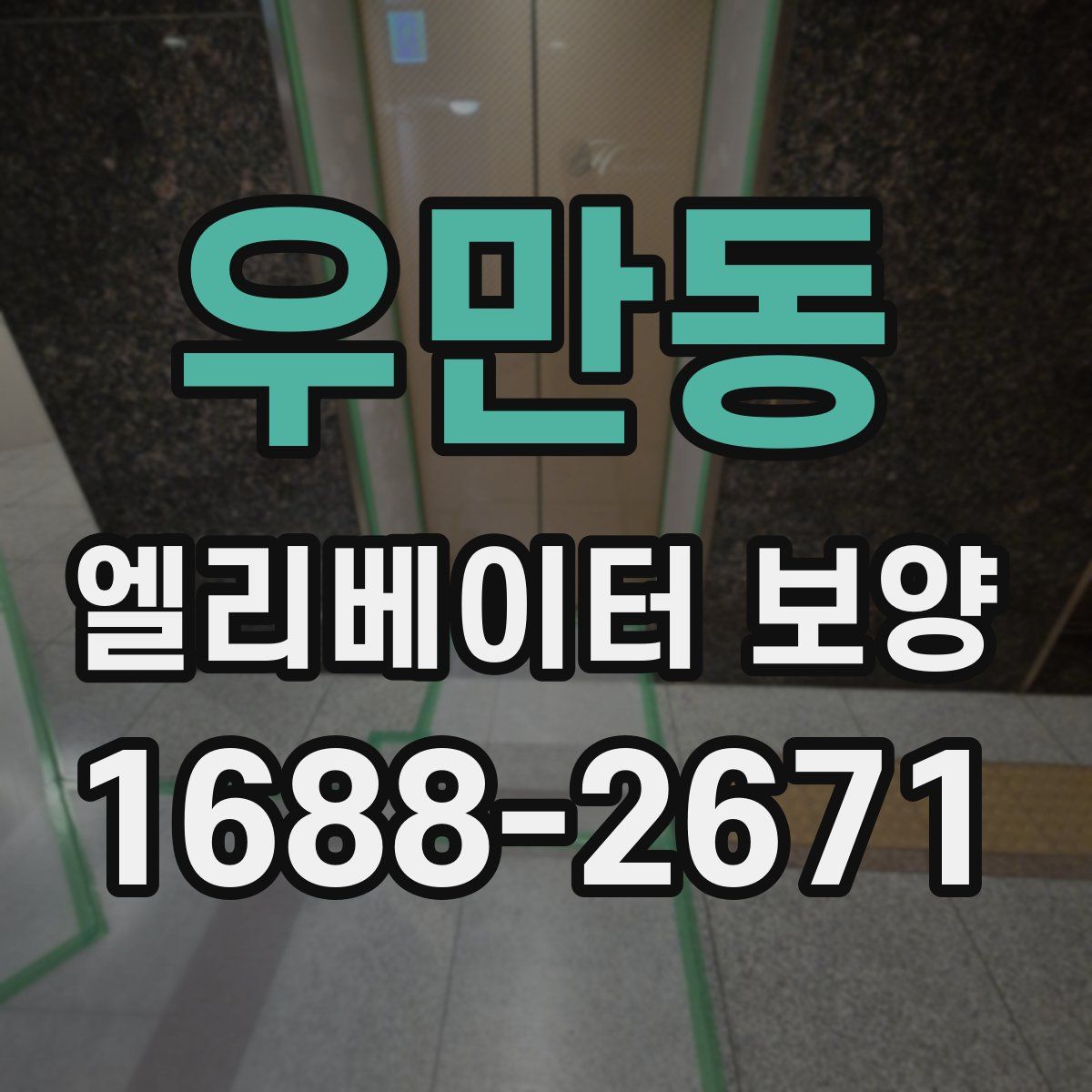 우만동 엘리베이터 보양