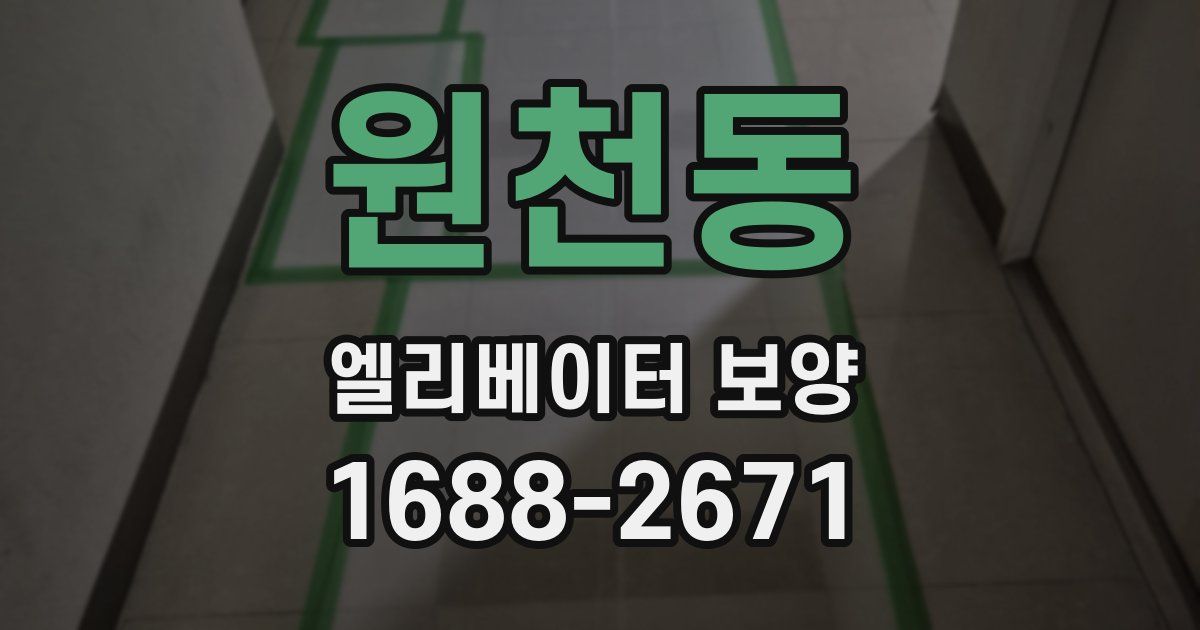 원천동 엘리베이터 보양