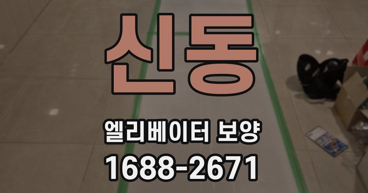 신동 엘리베이터 보양