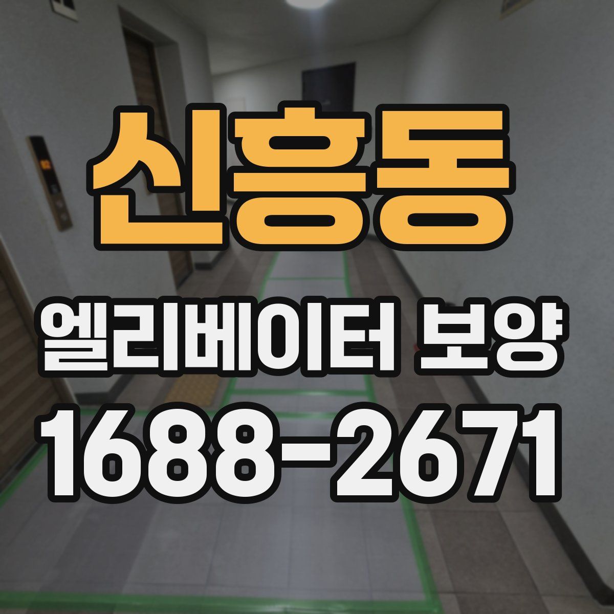 신흥동 엘리베이터 보양