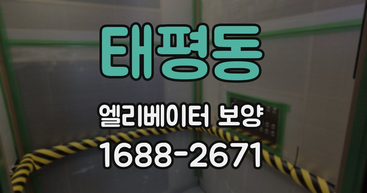 태평동 엘리베이터 보양