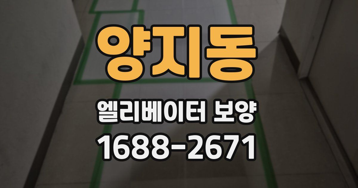 양지동 엘리베이터 보양