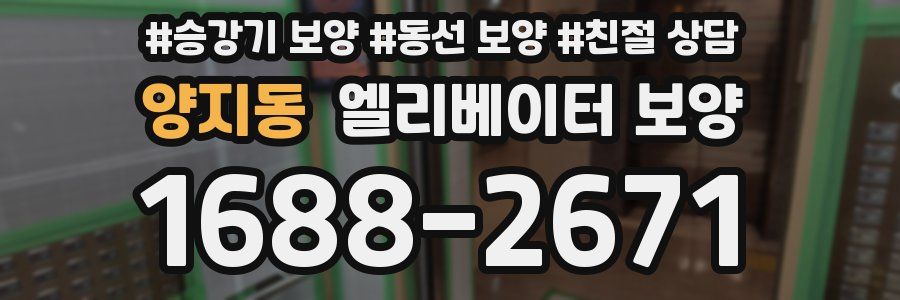 양지동 엘리베이터 보양