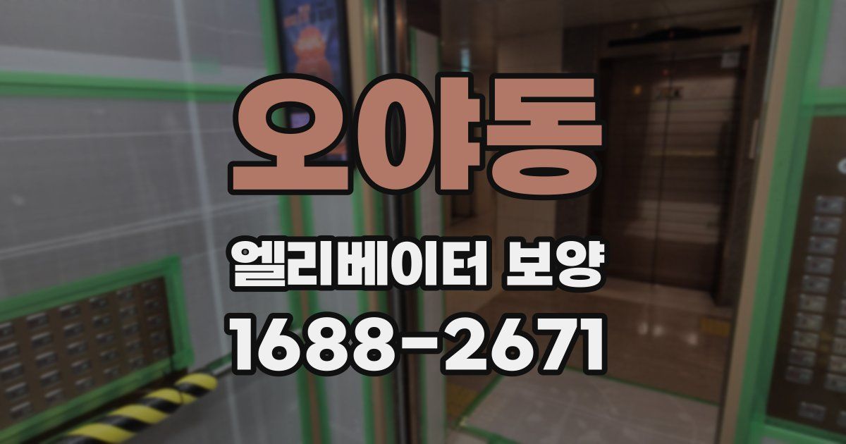 오야동 엘리베이터 보양