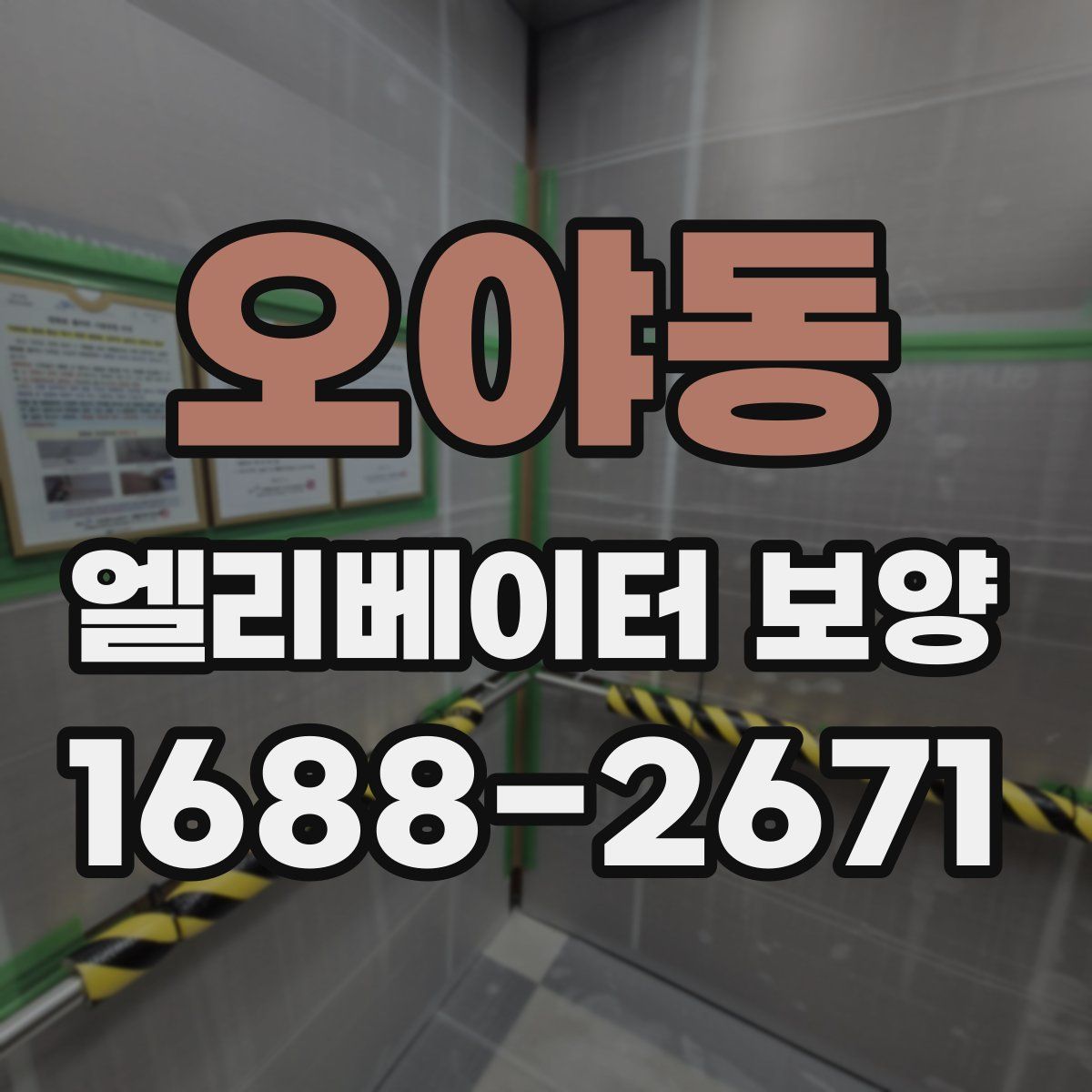 오야동 엘리베이터 보양