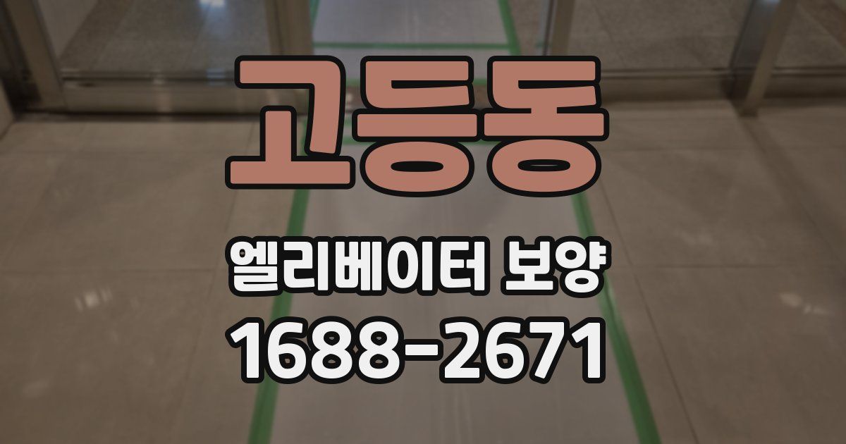 고등동 엘리베이터 보양