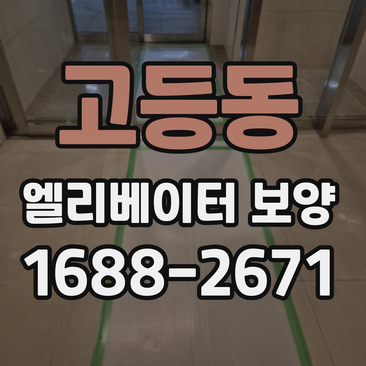 고등동 엘리베이터 보양