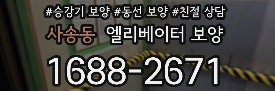 사송동 엘리베이터 보양