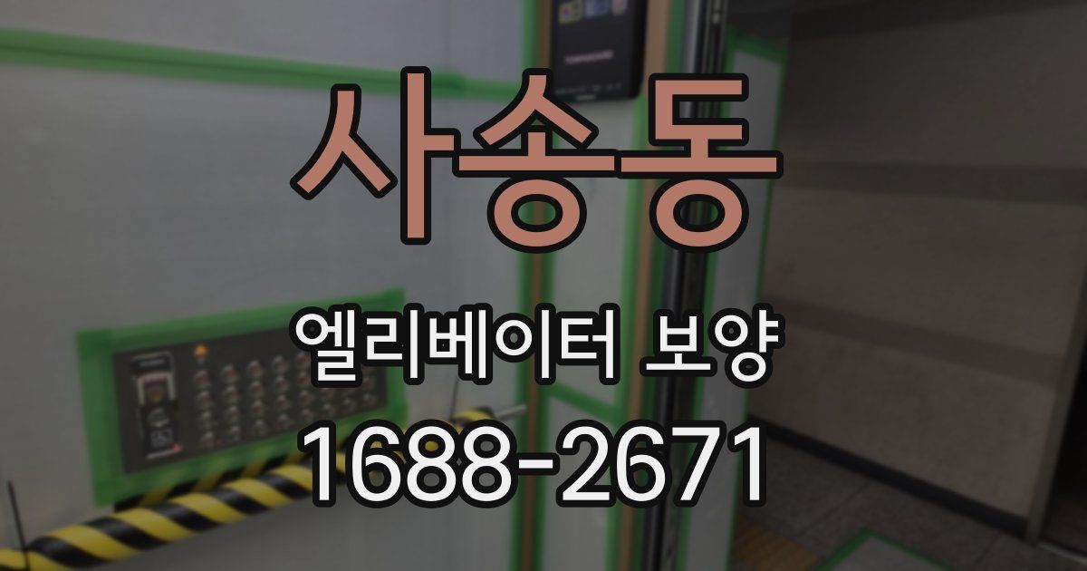 사송동 엘리베이터 보양