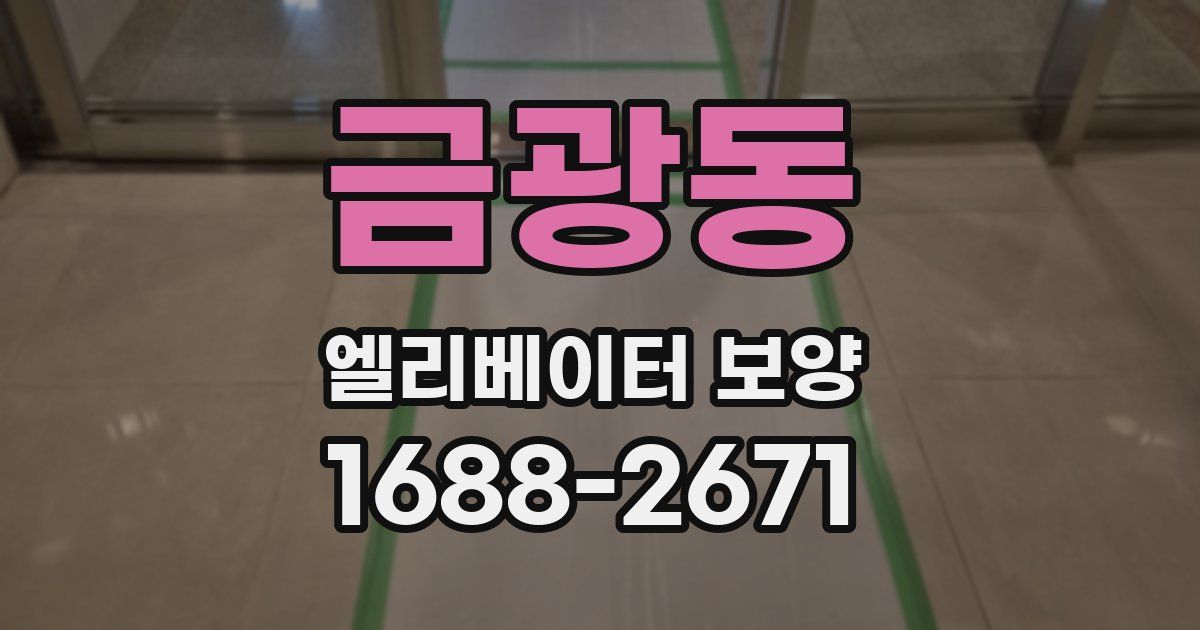 금광동 엘리베이터 보양