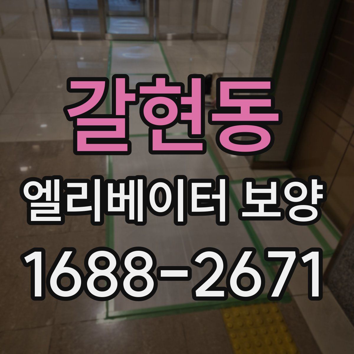 갈현동 엘리베이터 보양