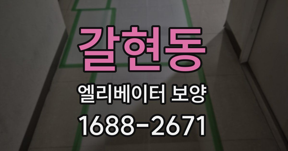 갈현동 엘리베이터 보양