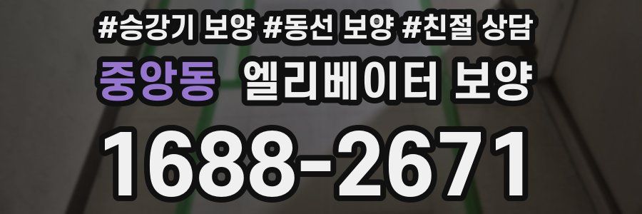 중앙동 엘리베이터 보양